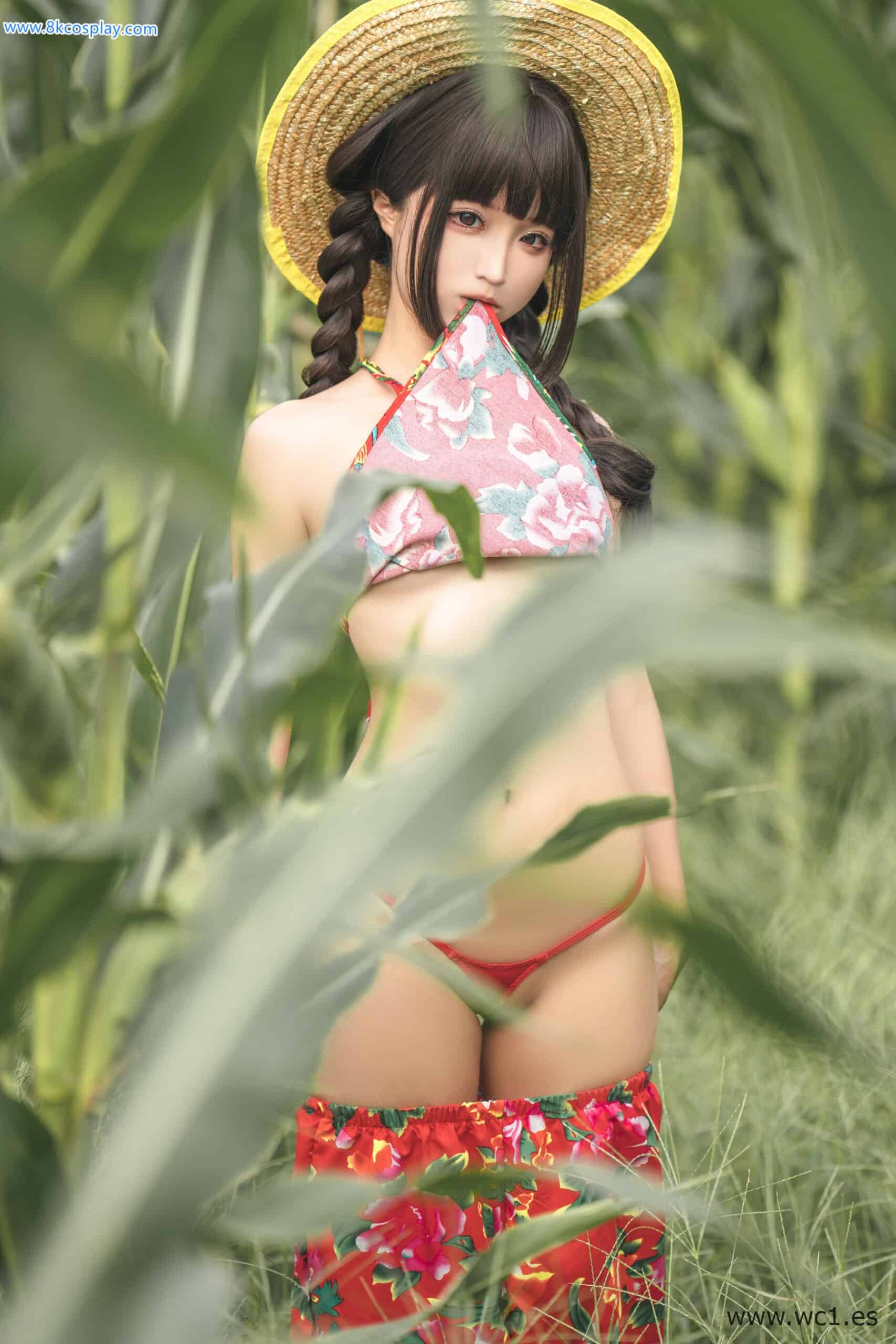 蠢沫沫《苞米地的故事》